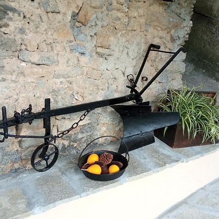 Agriturismo U'Spigu Nonna Annetta Nasino Buitenkant foto