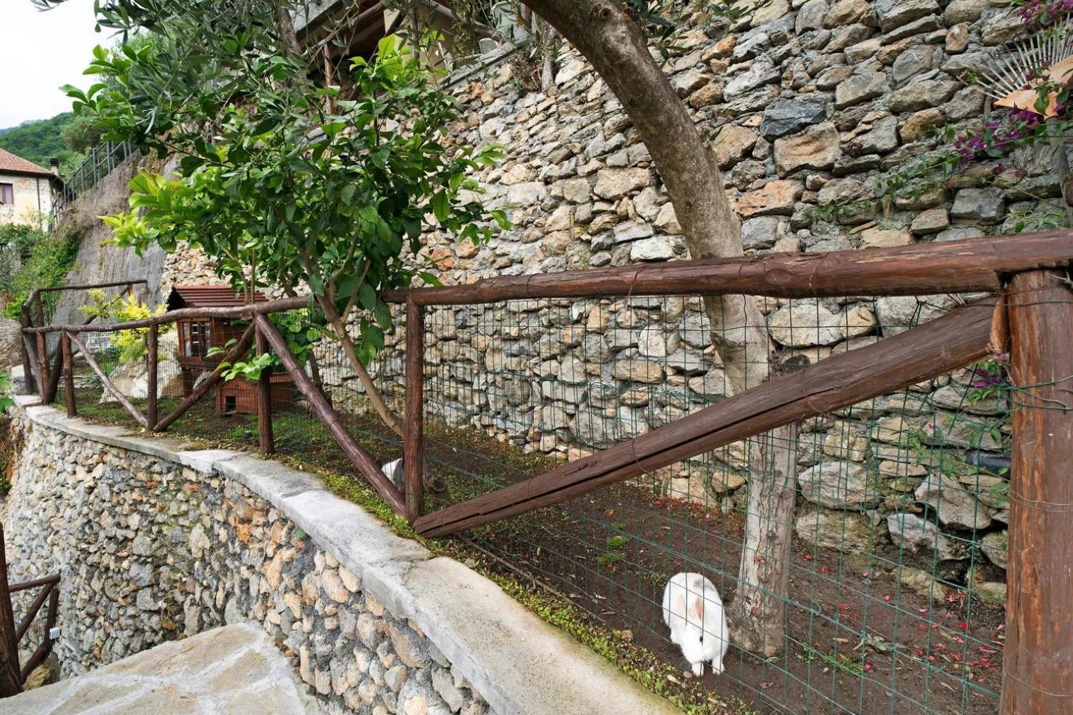 Agriturismo U'Spigu Nonna Annetta Nasino Buitenkant foto